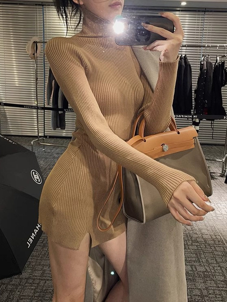 Women Bodycon Mini Knit Dress  - Bodycon Long Sleeve Ribbed Dress 评论和价格